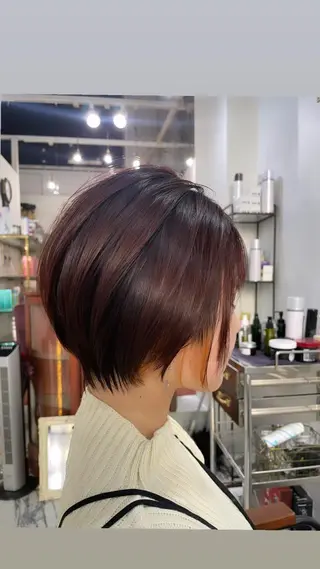 ショート カラー 🩵縮毛矯正  髪質 改善 美髪🩵のヘアスタイル