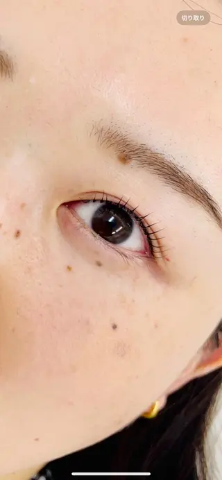 マツエク・マツパ 表参道/まつ毛パーマ 🌷🕊️SAORIのマツエク・マツパデザイン