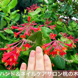 メンズ ネイル ハンドケア&ネイルケア桃の木所属・ケアリスト🍀 マリユキのネイルデザイン