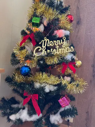 伊藤名紬 マツエク専門のマツエク・マツパデザイン