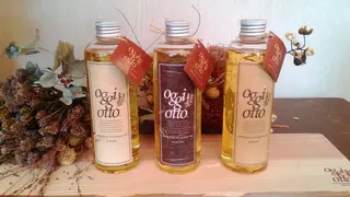 向井 涼太朗のヘアスタイル