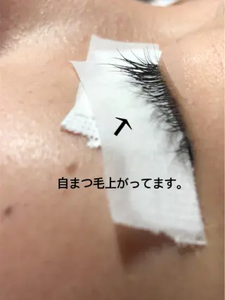 マツエク・マツパ Rei to youのマツエク・マツパデザイン