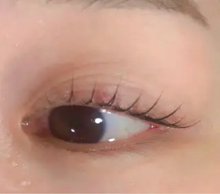 マツエク・マツパ 🥀 MIURAのマツエク・マツパデザイン