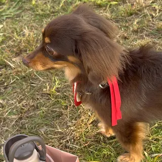 マツエク・マツパ 🩰yuri🩰 似合わせ/束感のマツエク・マツパデザイン