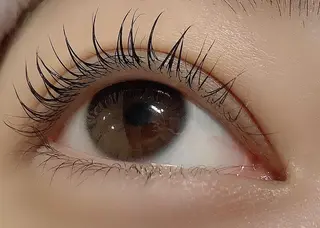 マツエク・マツパ Lanhr所属・【Lanhr】 🕊aya🕊のマツエク・マツパデザイン