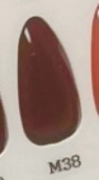 ネイル エルバイノリコ 岩下パラジェル取扱店のネイルデザイン