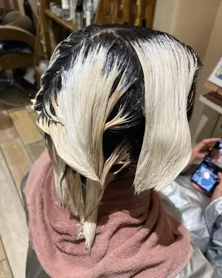 ハイトーン/ワンカラ /レイヤー/ウルフのヘアスタイル