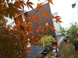 フェイシャルサロンシエルメール所属・エステ エステのエステ・リラクイメージ