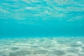 Bianca溝の口 INOMATAのマツエク・マツパデザイン