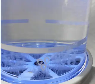 Chalon所属・REVI取扱・肌悩み 毛穴Chalonのエステ・リラクイメージ