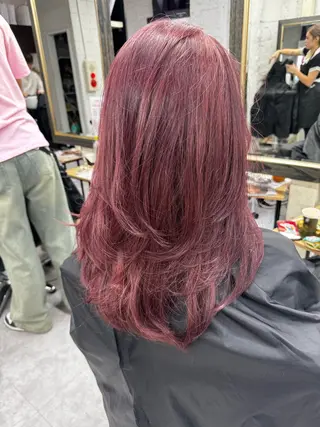 セミロング カラー ハイトーン/ダブル カラー/akihoのヘアスタイル