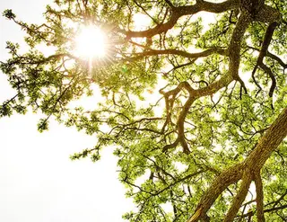 ネイル・エステ afdlbcのネイルデザイン