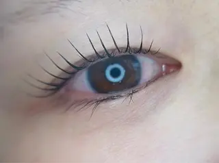 キッズ マツエク・マツパ un par un アンパルアン所属・un par unの眉毛・アイブロウイメージ