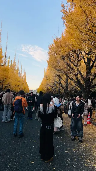 マツエク・マツパ M.TT salonのマツエク・マツパデザイン