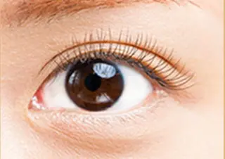 マツエク・マツパ haru ♡のマツエク・マツパデザイン