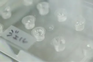 サクッとホワイト都立大学店所属・Koma Minamiのその他イメージ