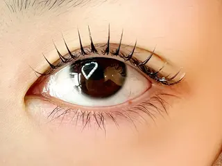 マツエク・マツパ Celeste Venus所属・🧸Celeste Venusのマツエク・マツパデザイン