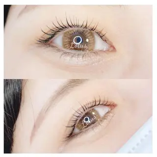 マツエク・マツパ Lotus所属・Lotus ロータスのマツエク・マツパデザイン