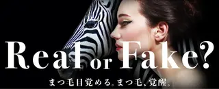 マツエク・マツパ RIGOLETTO 🤍吉成愛華のマツエク・マツパデザイン