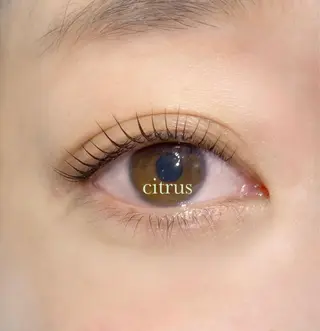 マツエク・マツパ Citrus salonのマツエク・マツパデザイン