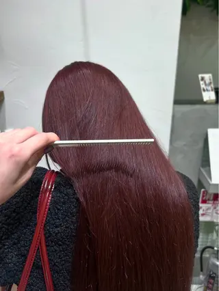 ロング カラー 🫧透明感カラー/ 寒色カラー/Risaのヘアスタイル