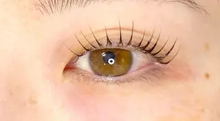 マツエク・マツパ oreo salon Chisatoのマツエク・マツパデザイン