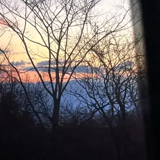 ハイトーン/レイヤー /艶カラー🎀のヘアスタイル