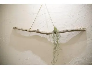 カラー パーマ ヘアアレンジ ネイル マツエク・マツパ アイブロウ 💋美ボディサロン eta【エタ】💋のエステ・リラクイメージ