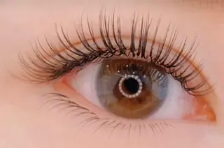 マツエク・マツパ yingsalon 🧚ゆうな🧚‍♂️のマツエク・マツパデザイン