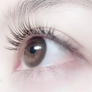 マツエク・マツパ Hase 本八幡 🧸マツエク専門🧸のマツエク・マツパデザイン