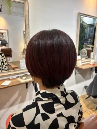 ショート カラー カネコ ナナミのヘアスタイル