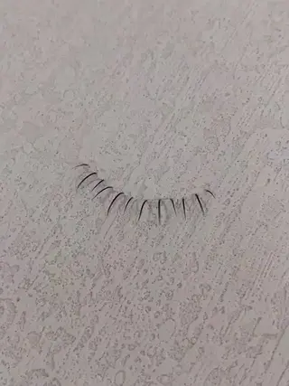 マツエク・マツパ EYE Bright eyelash(アイブライト)所属・静 かのマツエク・マツパデザイン