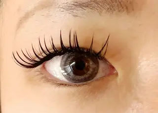 マツエク・マツパ Celeste Venus所属・🧸Celeste Venusのマツエク・マツパデザイン