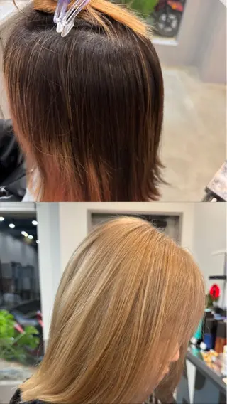 ミディアム カラー dog star 関 海斗のヘアスタイル