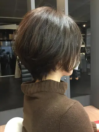 ショート カラー 手櫛でストレート/ 人生を変える美髪へのヘアスタイル