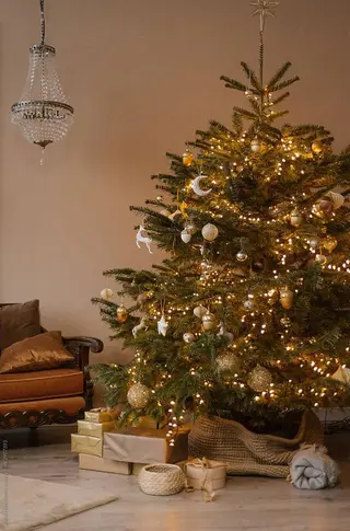 Iwasaki Nene☾店長のマツエク・マツパデザイン