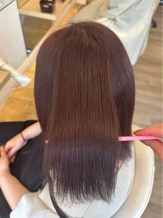 南田 晴香のヘアスタイル