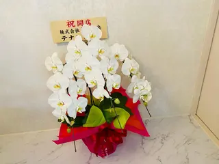 Re Eyes+ 美波のマツエク・マツパデザイン