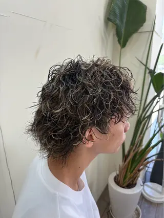パーマ 飯泉 夏琉のヘアスタイル