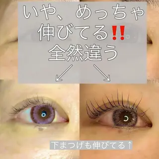 マツエク・マツパ Pua Meliaのマツエク・マツパデザイン