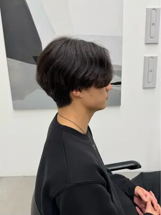 メンズ ひかり/ショート /似合わせカラーのヘアスタイル