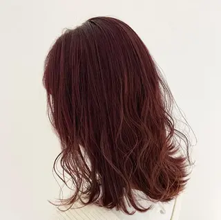 セミロング カラー ヘアアレンジ 🌻Insta指名 NO.1🌻Shoのヘアスタイル