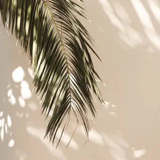 from to所属・seika .のネイルデザイン