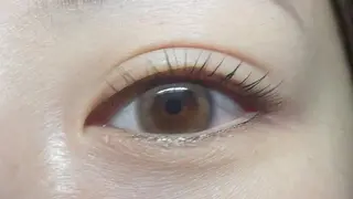 マツエク・マツパ angelux 所属・完全個室サロン🌹 angelux🌹のマツエク・マツパデザイン