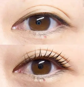 マツエク・マツパ LEDエクステ専門店 Fedis 京橋のマツエク・マツパデザイン