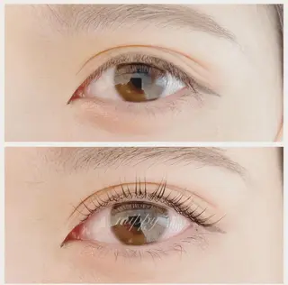 マツエク・マツパ ｍｉｐｐｙ 🪽のマツエク・マツパデザイン