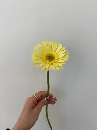 🌻花屋併設🌻濱 幸帆のヘアスタイル