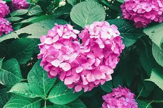 マツエク・マツパ アイブロウ やまもと あいらのマツエク・マツパデザイン