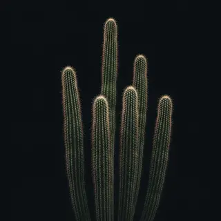 メンズ Masterpiece Body Wellness Center所属・The Owner Of MPのエステ・リラクイメージ