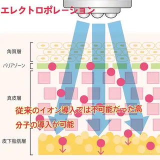 小顔・ツルツル素肌 ハリステリアのエステ・リラクイメージ